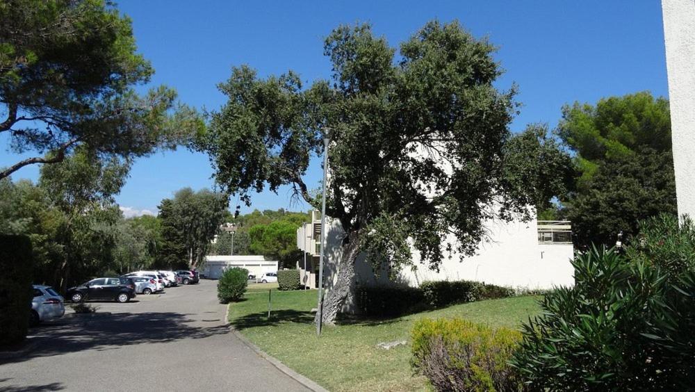 Saint-Raphaël Residence Pierre Et Vacances De La Corniche D'Or المظهر الخارجي الصورة